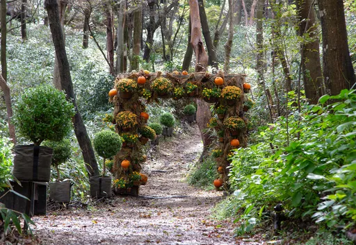 大人女性のハロウィン箱根アート＆スイーツ巡り の画像