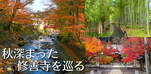 大人女性の秋旅：修善寺さんぽツアー の画像