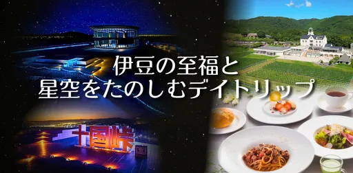 大人女性の秋旅：シャトーワイナリーと十国峠の星空イルミネーション の画像